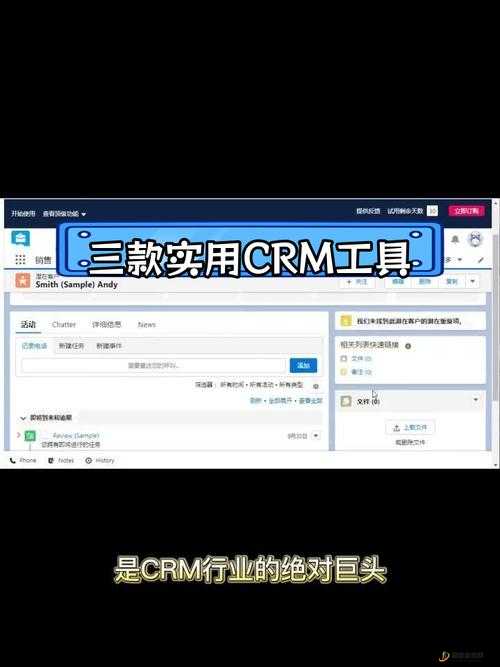 成免费 CRM 在线看系统：助力企业高效管理客户关系的强大工具