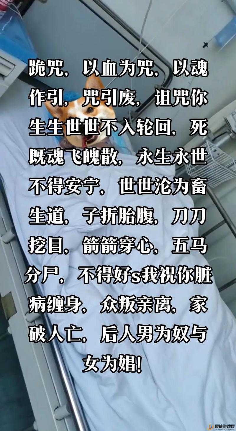 探究祝你好死背后的深意，诅咒天意、镰刀之谜的深度分析与解读